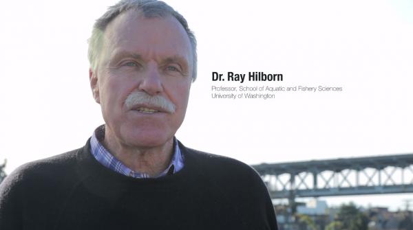 Ray Hilborn-studie betwist eerdere bevindingen over voedervissen