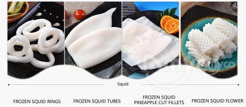 Squid products.jpg